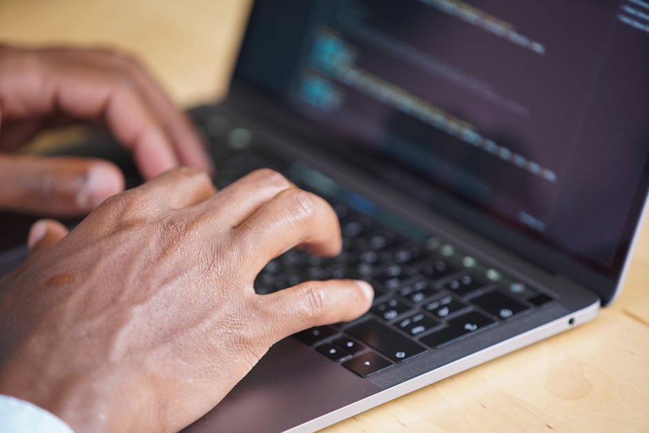 Курсы программирования и веб-дизайна